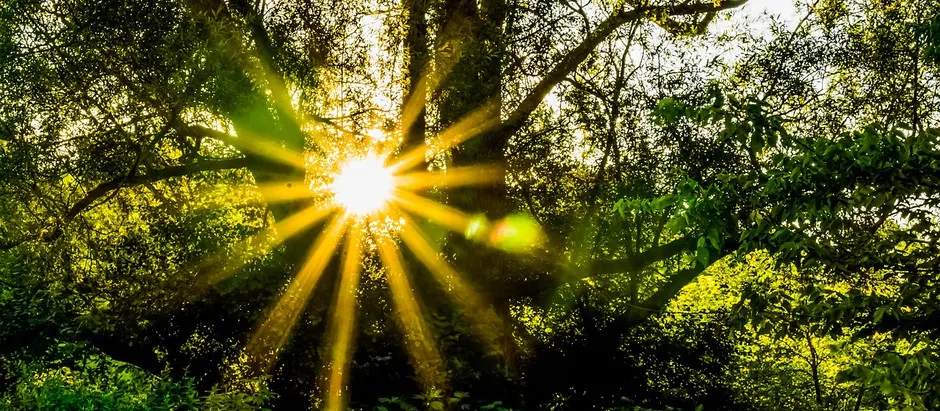 Refining PTSD Treatment, Struggles With Sobriety, and Glimmers of Hope
