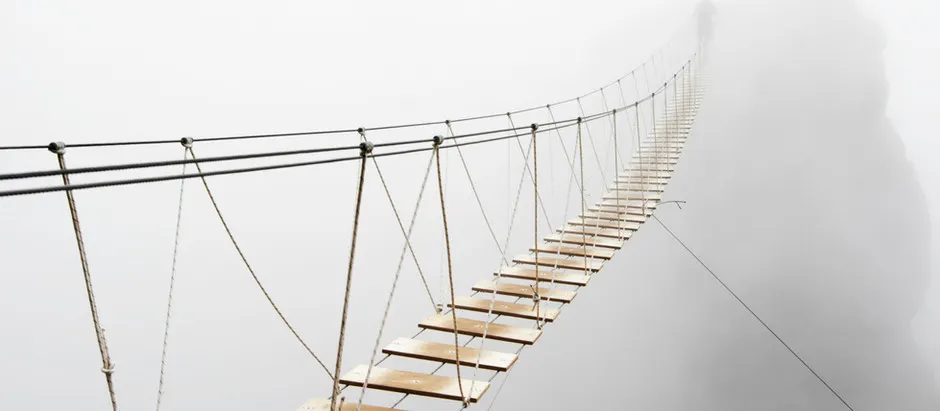 A Survivor's POV: Fear of discovering who your allies really are